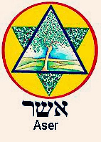 Tribu de Aser