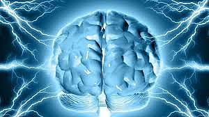 Origen del Sistema Nervioso