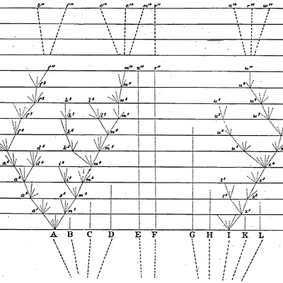 Timeline: Charles Robert Darwin (1808-1882)