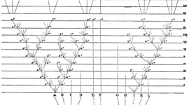 Timeline: Charles Robert Darwin (1808-1882)