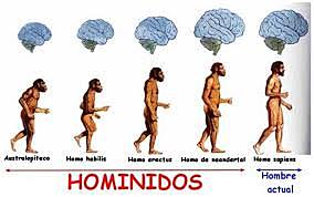 El surgimiento de los homínidos y de las características únicas de su cerebro.