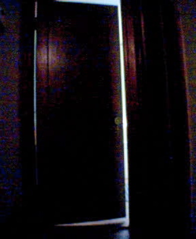 Japan Closes doors to the west