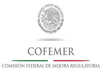Fue creada en el año 2000, mediante las reformas a la Ley Federal de Procedimiento Administrativo (LFPA).