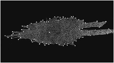 Herschel: Exploring the Galaxy and Discovering the Infrared
