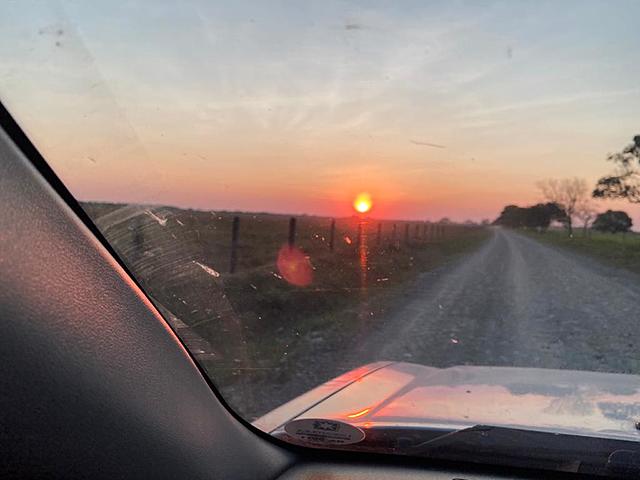 how i like the plain