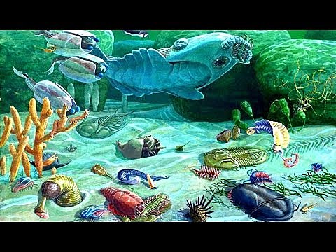 Explosión cámbrica