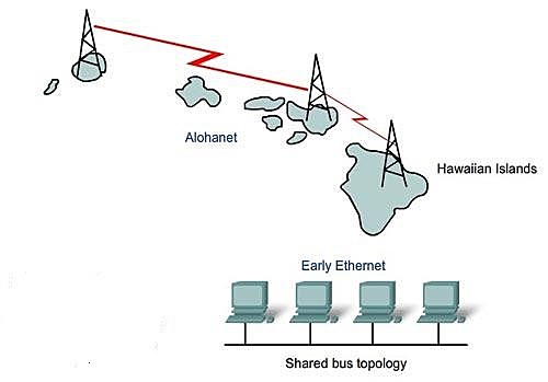 Las redes LAN o redes locales del área.