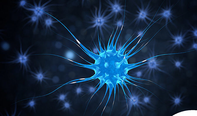 El surgimiento de las primeras neuronas (Periodo Ediacárico)