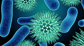 Timeline: Timeline Of Emerging Diseases