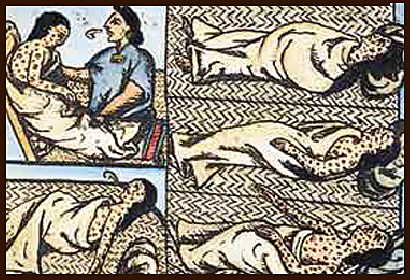 Smallpox & Measles in the New World