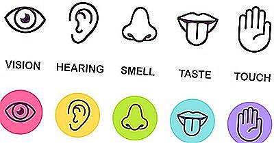 Fler sinnen kommer att användas