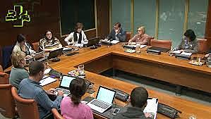 Zuzendaria hautatzeko prosezua (1)