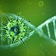 Teorias del coronavirus arma biologica virus remoto con 5g  1369