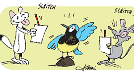 Timeline: suivi oiseaux