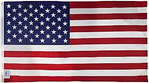 Flag of the US