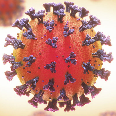 Timeline: EVOLUCIÓN DEL CORONAVIRUS Y LA COVID-19 EN EL CUERPO HUMANO