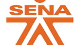 Timeline: Historia del sena