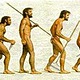 Evolucion humana