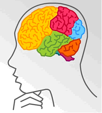 Enfoque constructivista psicogenetico