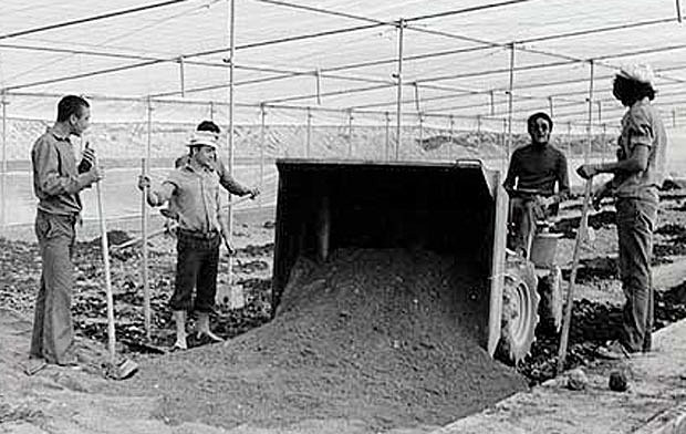 Se construye el primer invernadero