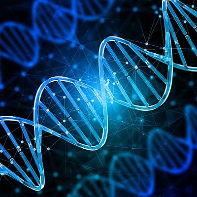 Timeline: Naturalistas y Científicos con aportaciones en Biología