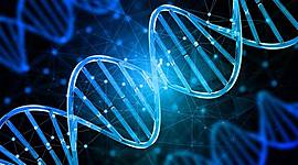 Timeline: Naturalistas y Científicos con aportaciones en Biología