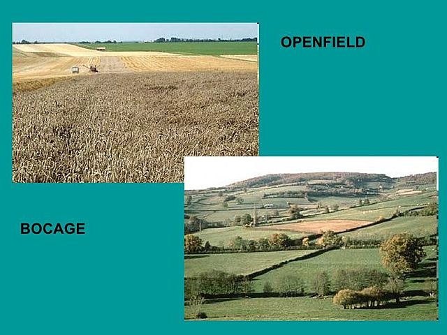 Sistemes principals d’explotació agrícola