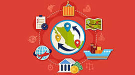 Timeline: Sistema Administrativo en México