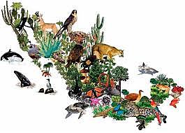 Se decreta la Ley General de Vida Silvestre