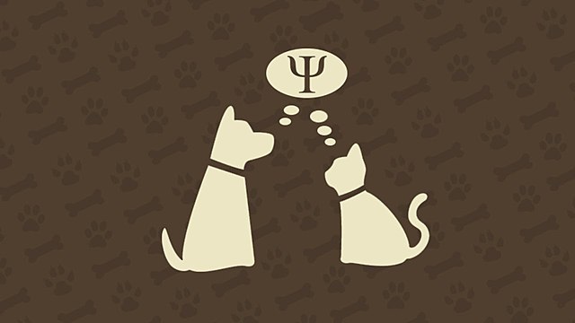 Evolucionismo y psicología animal (segunda mitad XIX)