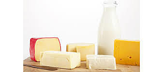 ELABORACIÓN DE QUESOS Y YOUGOURT