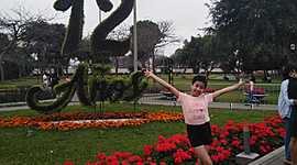 Timeline: Mi Linea de Tiempo