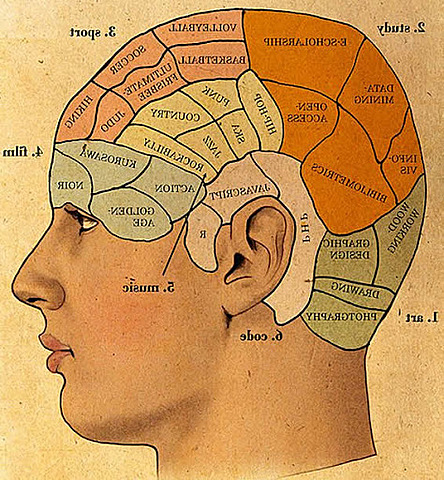 La psicología en el siglo XX .