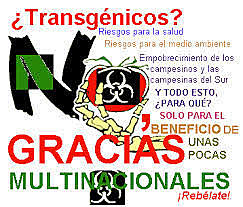 TRANSGÉNICOS