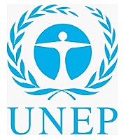 Creación de la UNEP