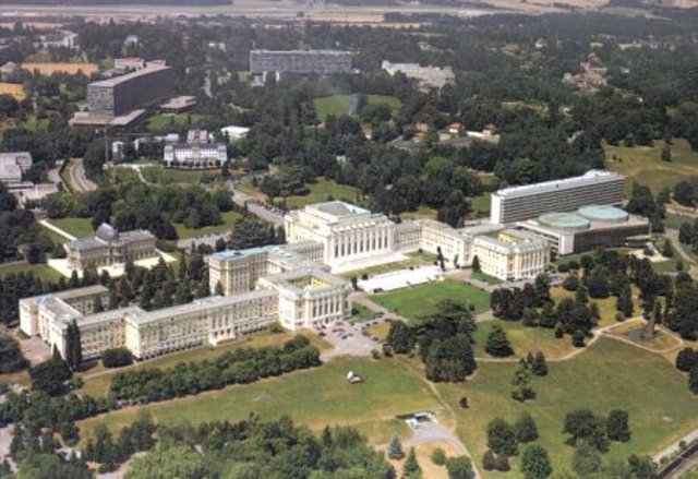 Profesor de Psicología Experimental, Universidad de Ginebra