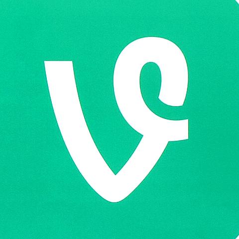 Vine