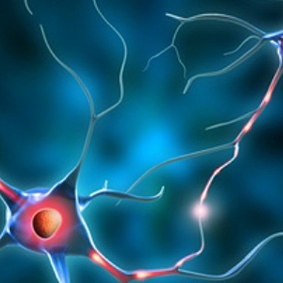 Timeline: Estímulo neuronal