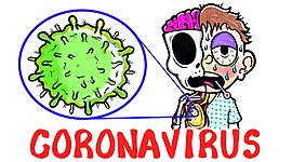 Timeline: coronavirus spread