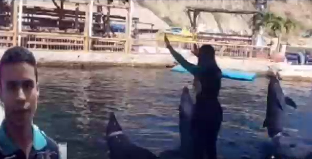 the aquarium of San Martin