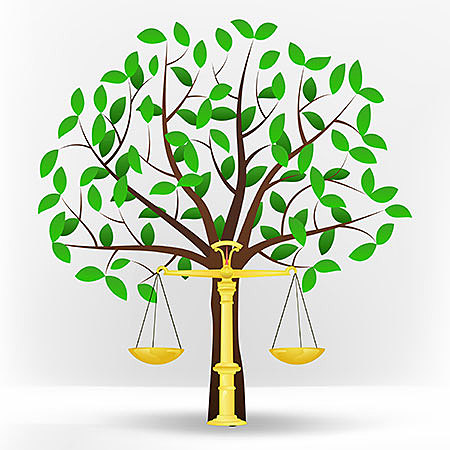 LEY GENERAL DEL EQUILIBRIO ECOLÓGICO Y LA PROTECCIÓN AL AMBIENTE