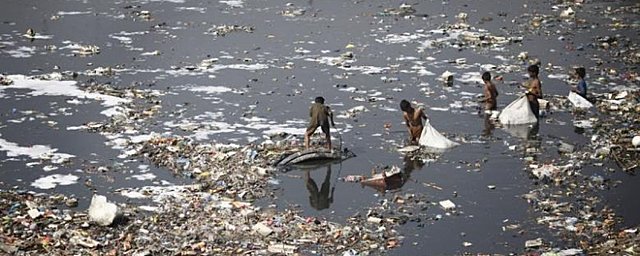 Castro: relación salud-ambiente