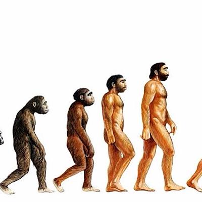 Timeline: TEORIES DE L'EVOLUCIÓ AL LLARG DELS ANYS