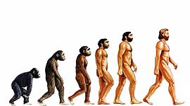 Timeline: TEORIES DE L'EVOLUCIÓ AL LLARG DELS ANYS