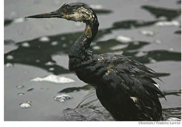 Oil Spill