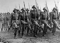 Francia e Inglaterra declaran la guerra en Alemania