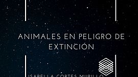 Timeline: ANIMALES EN PELIGRO DE EXTINCIÓN