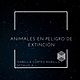 Animales en peligro de extinción