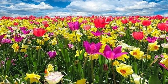 "La primavera", por Tomás de Iriarte (no se sabe cuando se escribió)