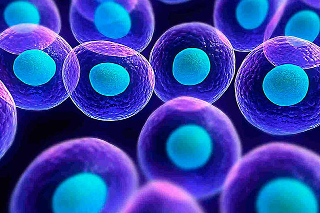 Transport cel·lular